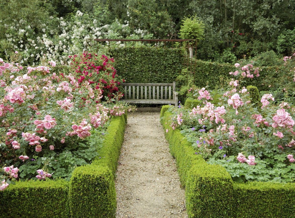 Into The Rose Garden 24 Rose Garden Tips - How to Grow Roses