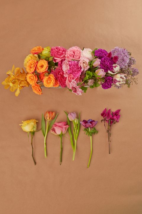 Flower, Petal, Pink, Magenta, Purple, Flowering plant, Botany, Flower Arranging, Artificial flower, Plant stem, 