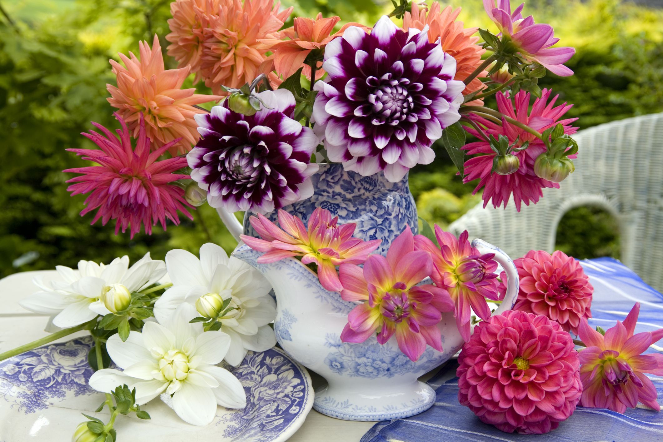 22 Best Summer Flowers for Your Garden ...