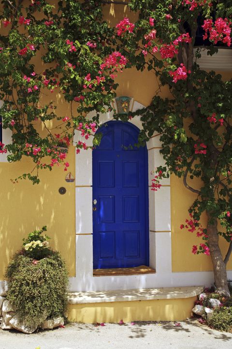 Doors With Climbing Vines - Floral Entryways