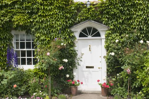 Doors With Climbing Vines - Floral Entryways