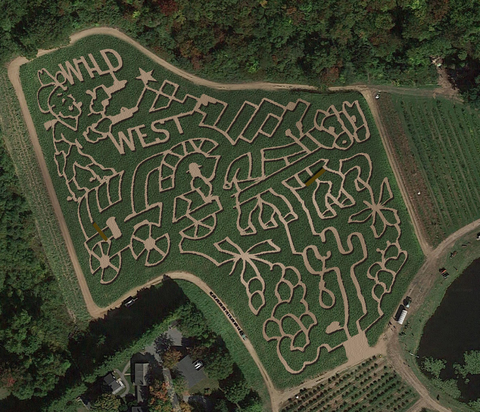 Connors Farm Corn Maze