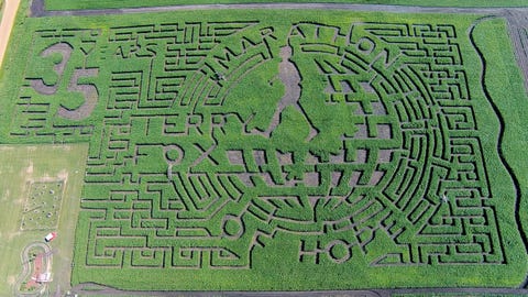 13 of the best corn mazes of all time corn mazes