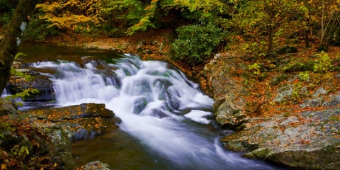 19 Stunning Photos of National Parks in the Fall
