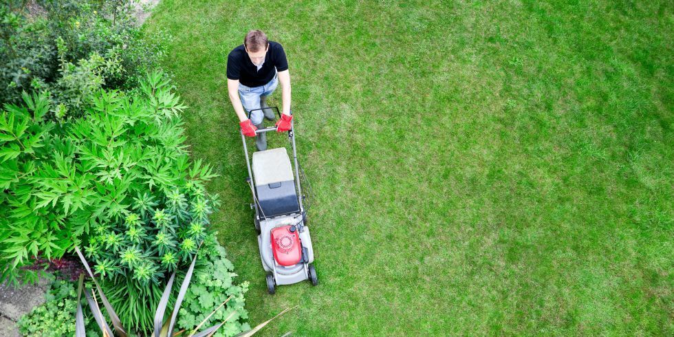 Americans Love Lawns - Lawns Are the Biggest Crop in America