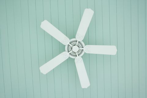 Ceiling fan, Mechanical fan, Ceiling, Home appliance, Propeller, Windmill, Illustration, 