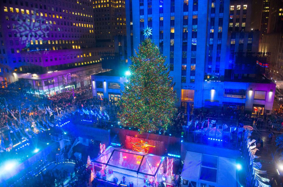 Magical Christmas Trees Worth Seeing Christmas Tree Virtual Tour