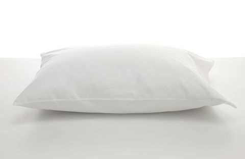 Pillow one whatsup com