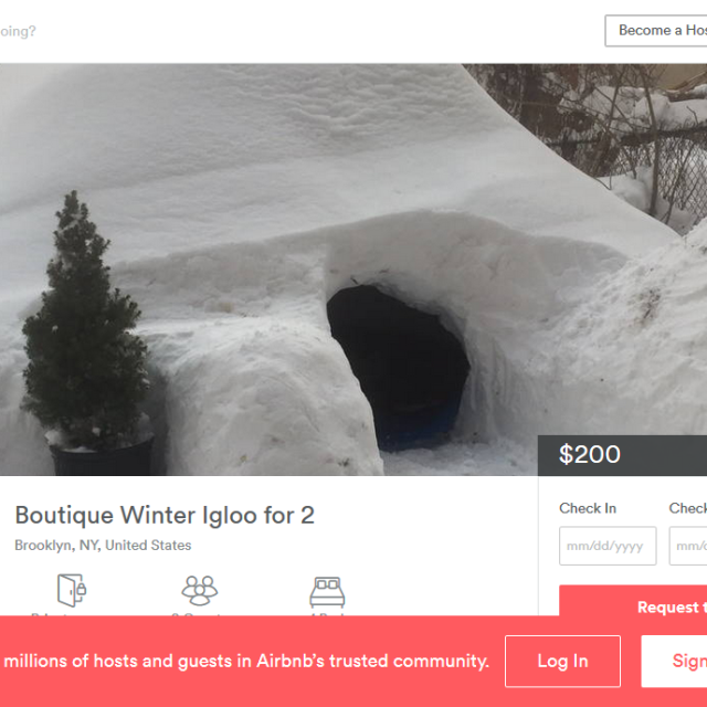 Font, Slope, Snow, Screenshot, Web page, Freezing, Website, Fir, 