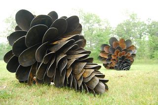 Nature, Plant community, Leaf, Natural material, Pattern, Terrestrial plant, Wing, Feather, Environmental art, Prairie, 