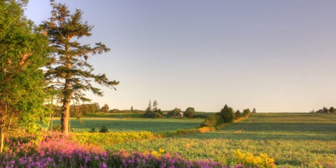 26 Stunning Images of the Canadian Island That Inspired "Anne of Green Gables"