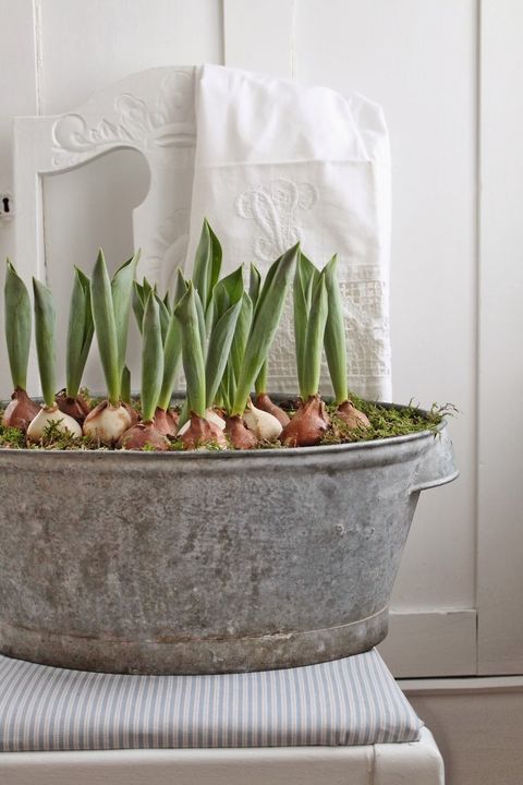 easter decorating ideas
