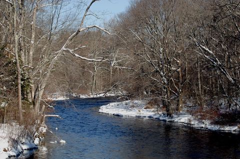 Winter, Snow, Natural landscape, Water, Tree, Nature, River, Freezing, Watercourse, Bank, 