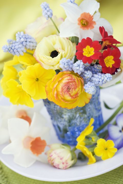 Bouquet, Yellow, Flower, Cut flowers, Cake decorating, Icing, Sugar paste, Buttercream, Plant, Fondant, 