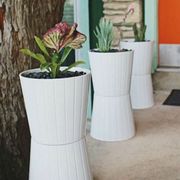 Plant, Flowerpot, Petal, Interior design, Terrestrial plant, Flowering plant, Houseplant, Shrub, Design, Vase, 