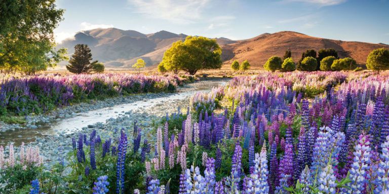 10 of the Most Beautiful Gardens You Will Ever See