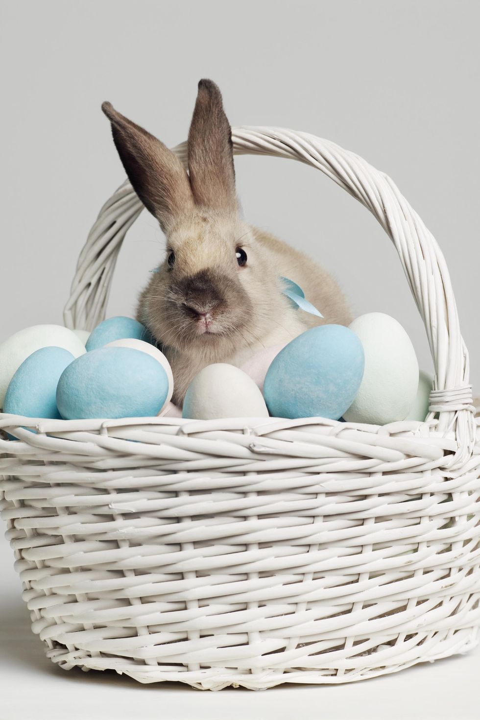 Easter 2023: Here's why Easter is associated with eggs and bunnies