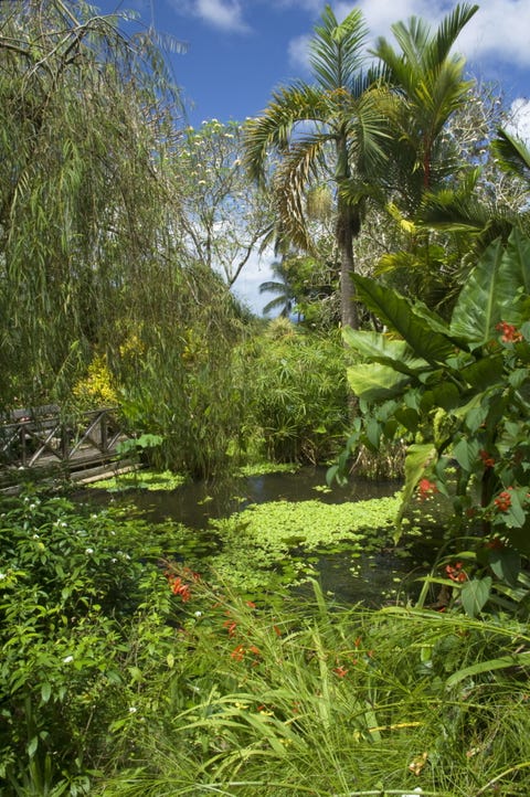Best Flower and Ornamental Gardens - Prettiest Nature Destinations