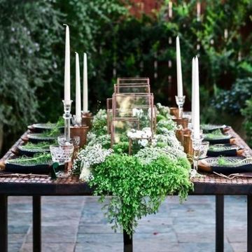 Table, Flowerpot, Interior design, Candle, Outdoor table, Herb, Garden, Annual plant, Houseplant, Vascular plant, 