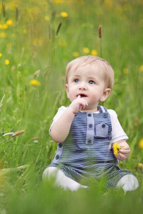 Nose, Mouth, Grass, Eye, Happy, Child, People in nature, Baby & toddler clothing, Summer, Iris, 