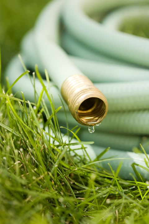 Grass, Grass family, Cable, Home accessories, Brass, Hose, 
