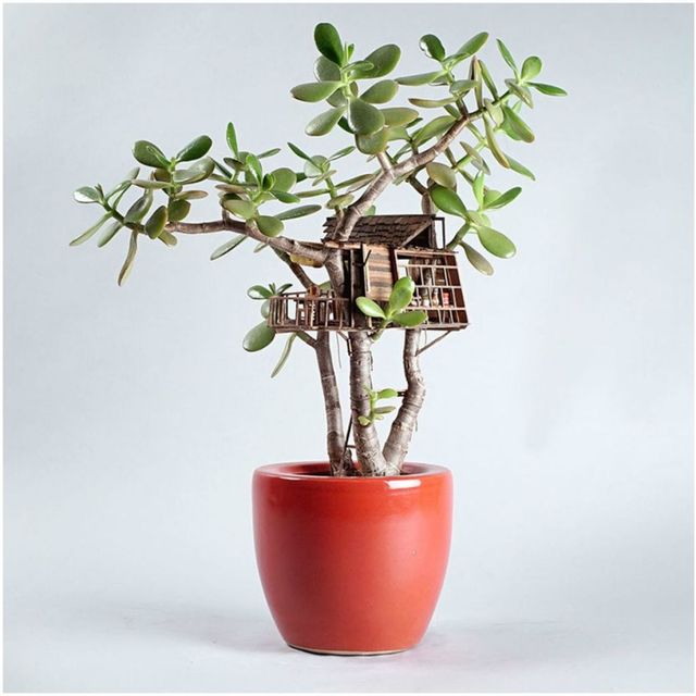 mini plant tree houses