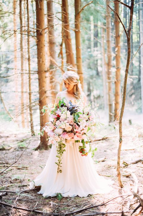 Clothing, Dress, Petal, Photograph, Bride, Bridal clothing, Wedding dress, People in nature, Peach, Forest, 