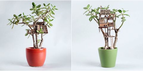 mini plant tree houses