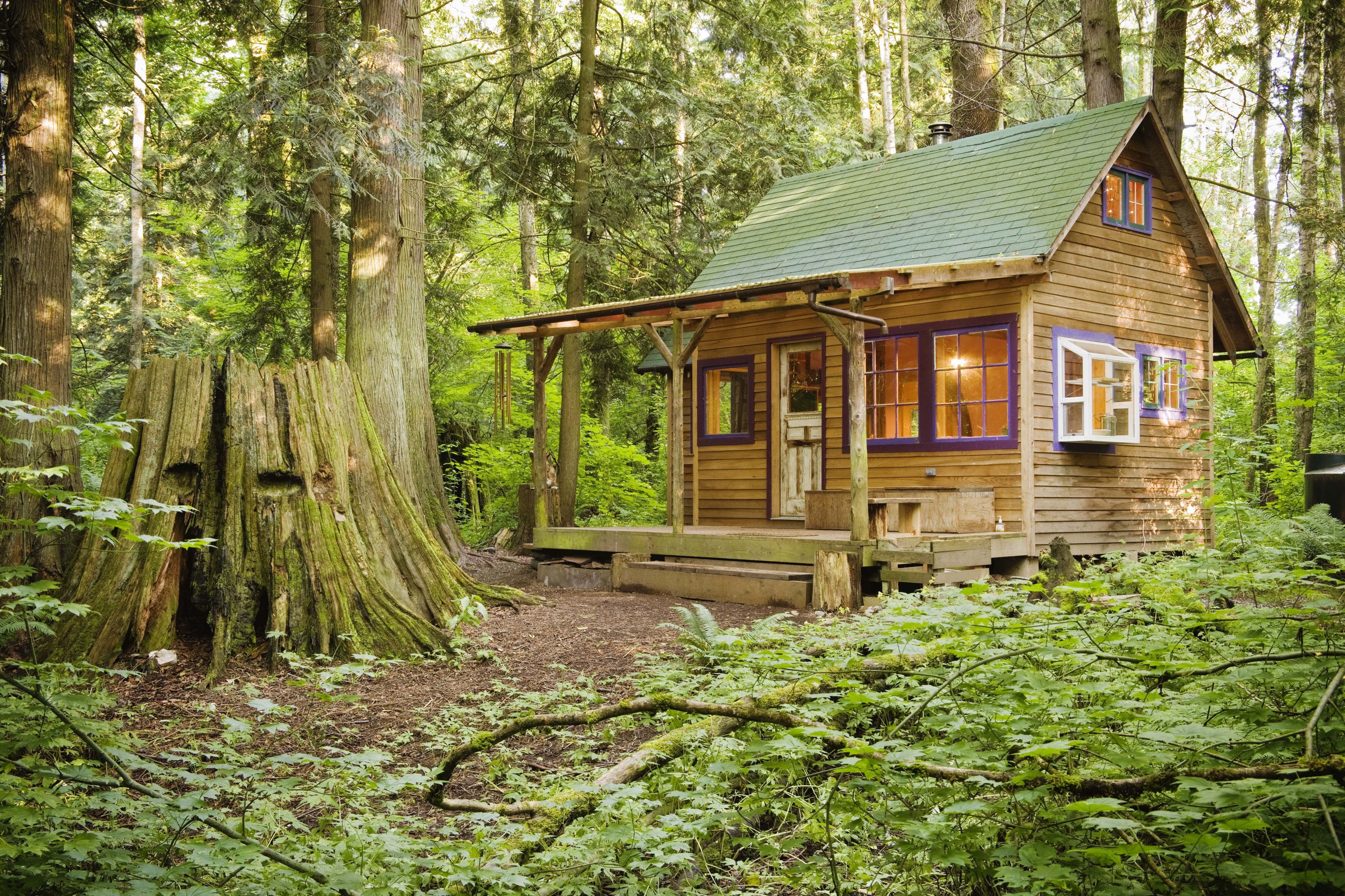 We live nature. Домик в лесу. Дом в лесу. Маленький деревянный домик. Деревянный домик в лесу.