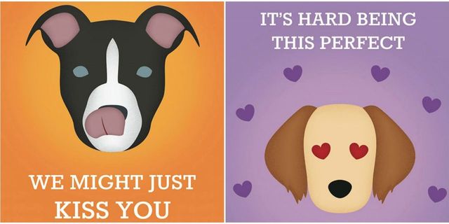 Honest Dog Breed Slogans - Funny Slogans For Popular Dog Breeds