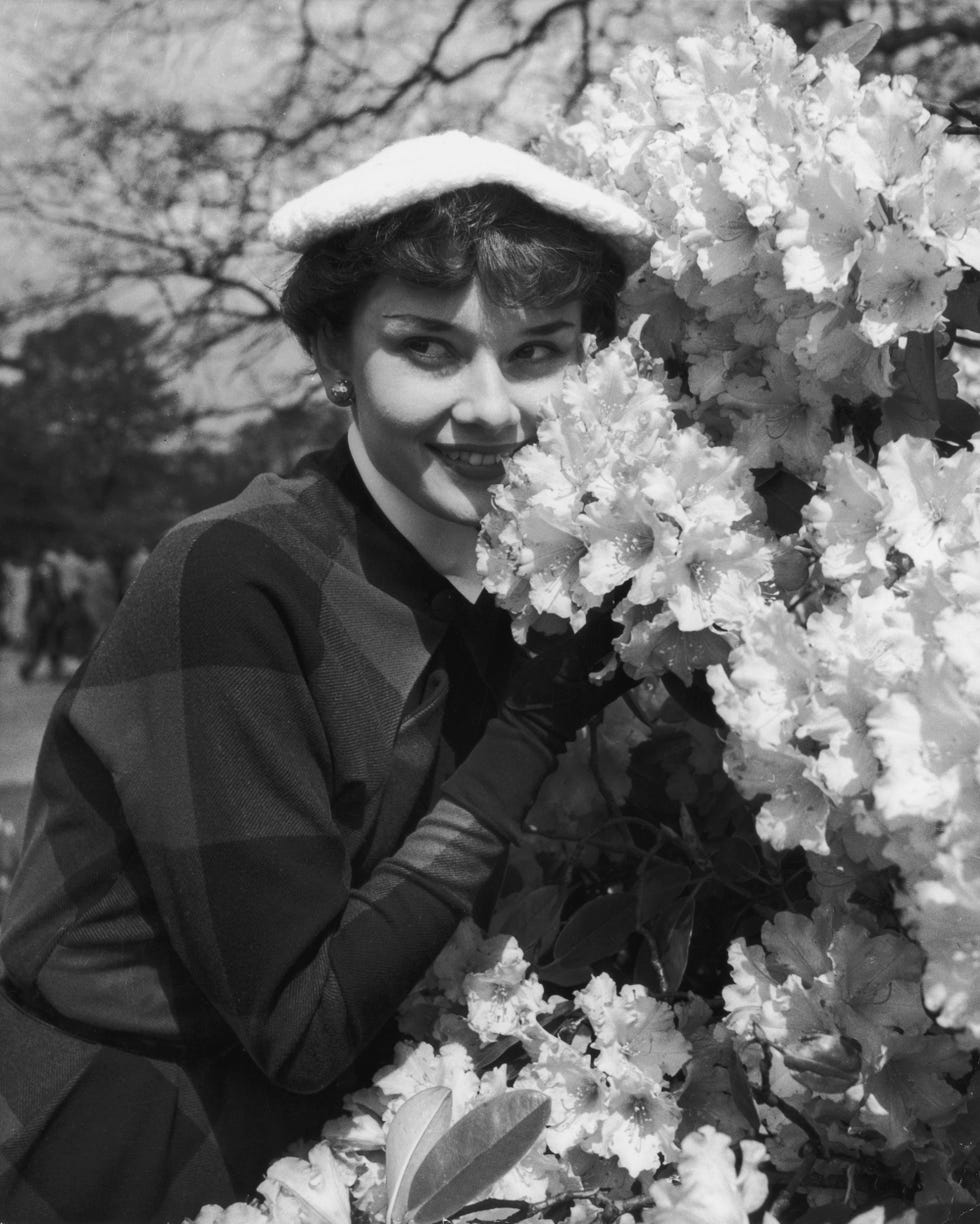 Audrey Hepburn
