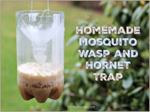 Natural Ways To Get Rid Of Mosquitoes Bug Repellents Natural Mosquito Repellents