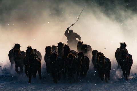 national geographic travel photographer of the year