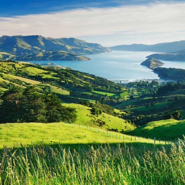This New Zealand Town Is Basically Giving Away Houses