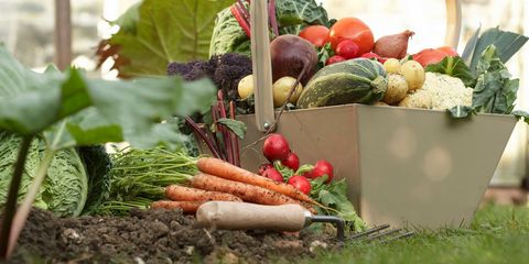 Carrot, Vegan nutrition, Whole food, Local food, Food, Produce, Natural foods, Root vegetable, Vegetable, Ingredient, 