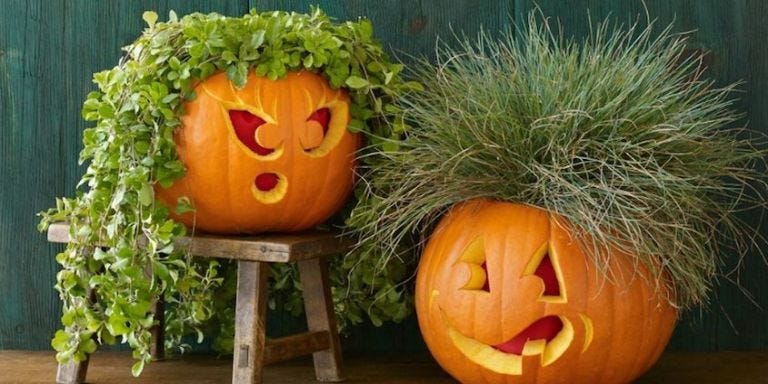 40 Cool Pumpkin Carving Designs Creative Ideas For Jack O Lanterns