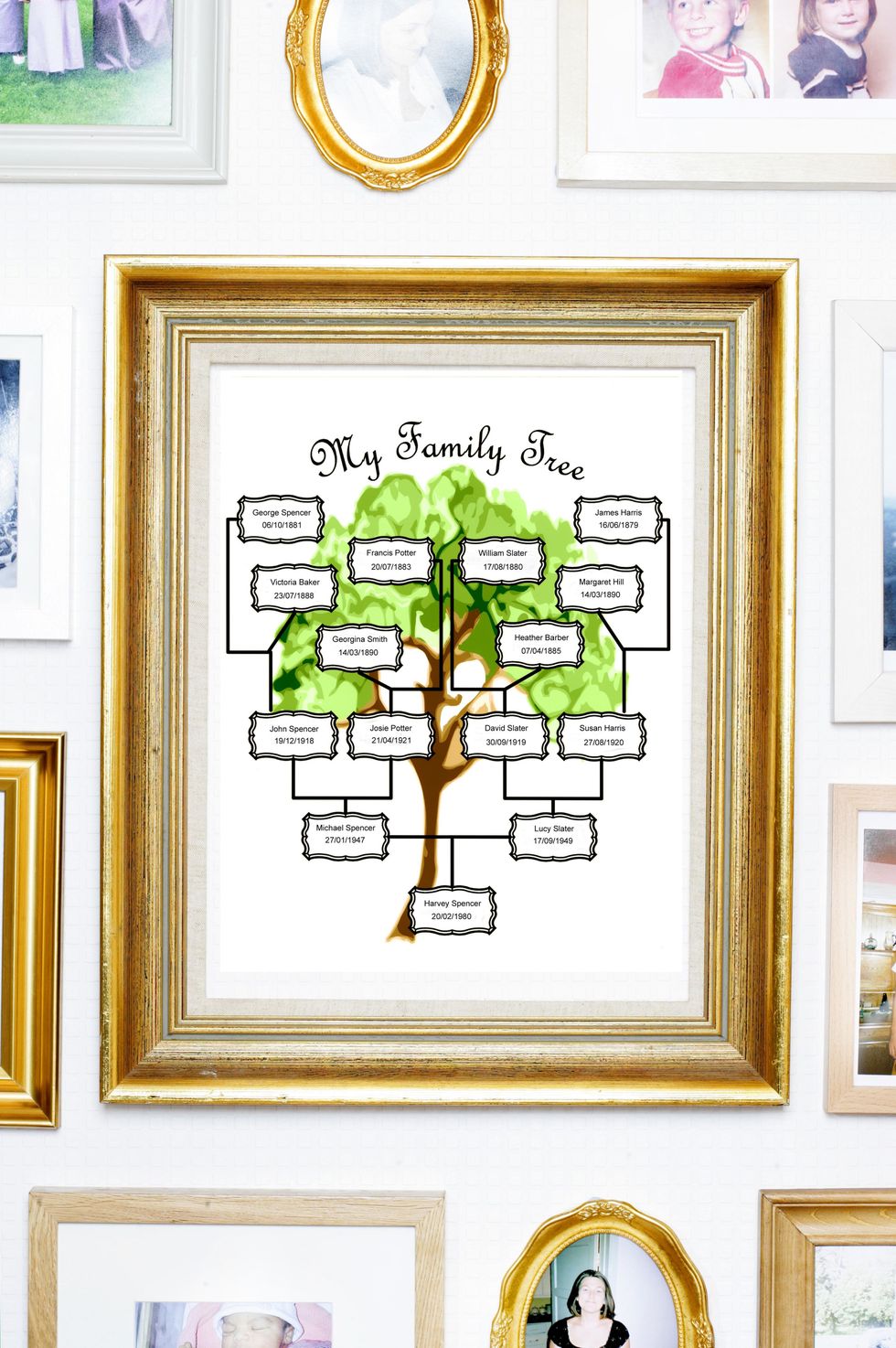 Green, Leaf, Room, Botany, Wall, Tree, Illustration, Picture frame, Houseplant, Plant, 