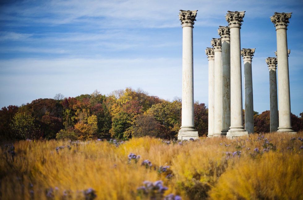 National Arboretum DC