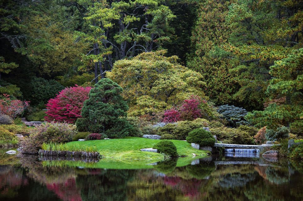 Asticou Azalea Garden Maine