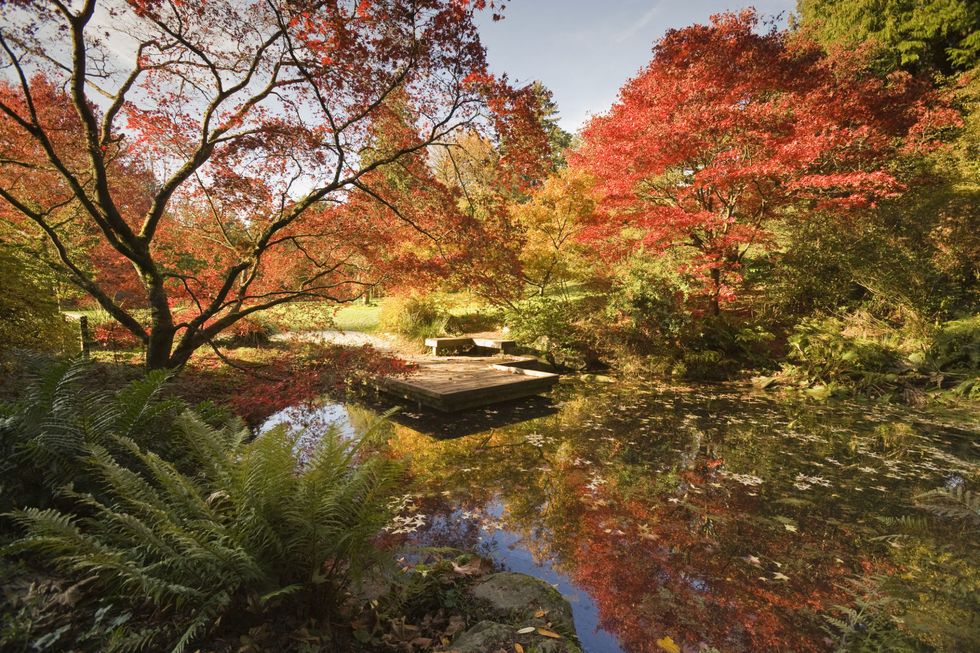 Washington Park Arboretum Seattle