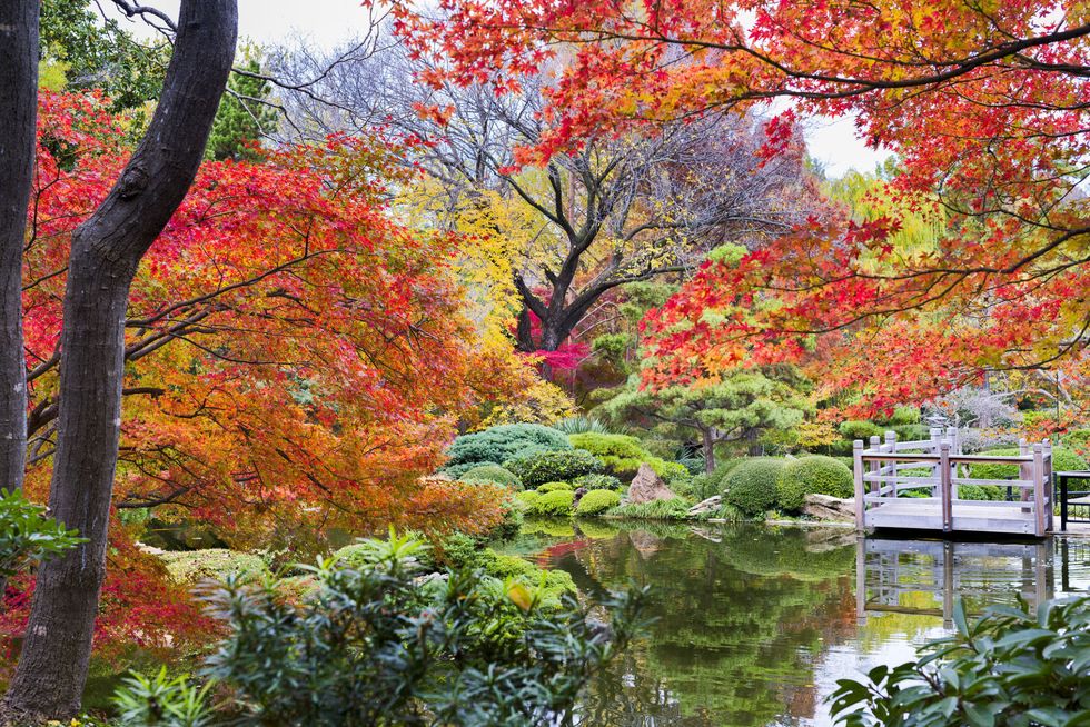 16 Beautiful Public Gardens to Visit in Fall - Best Public Gardens in ...