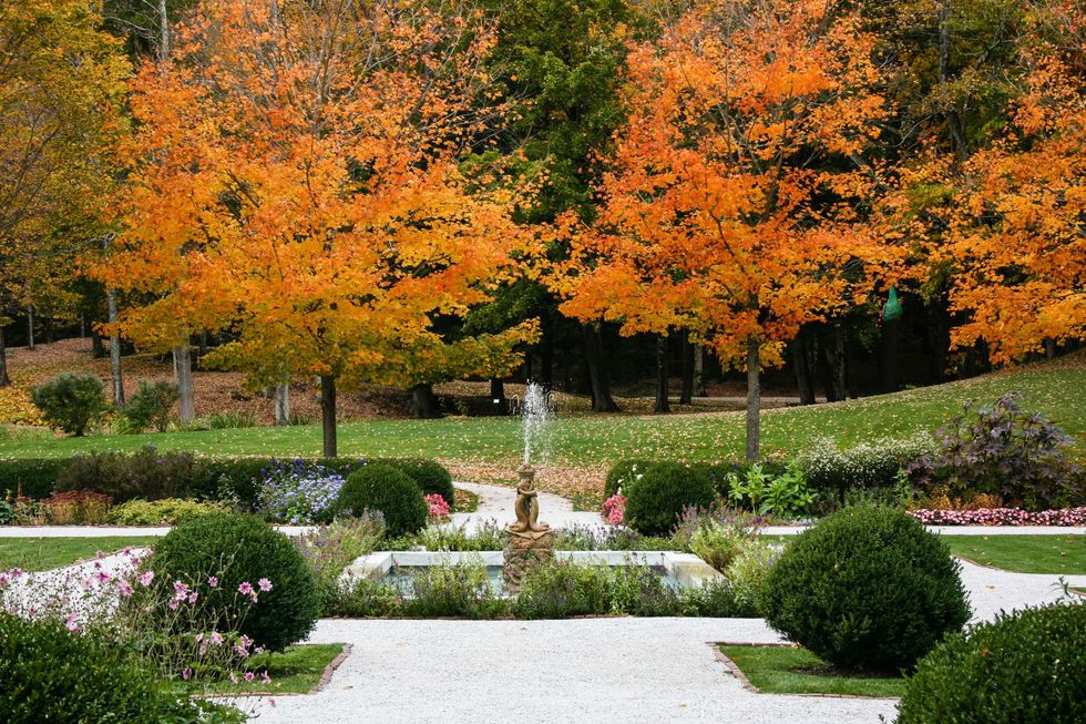 The Mount Flower Garden