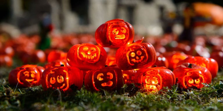 You Can Visit The World S Smallest Pumpkin Patch World S Smallest Pumpkin Patch