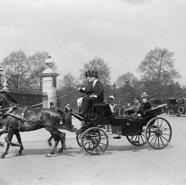Horse and buggy, Horse, Carriage, Horse harness, Vehicle, Mode of transport, Chaise, Cart, Chariot, Rein, 