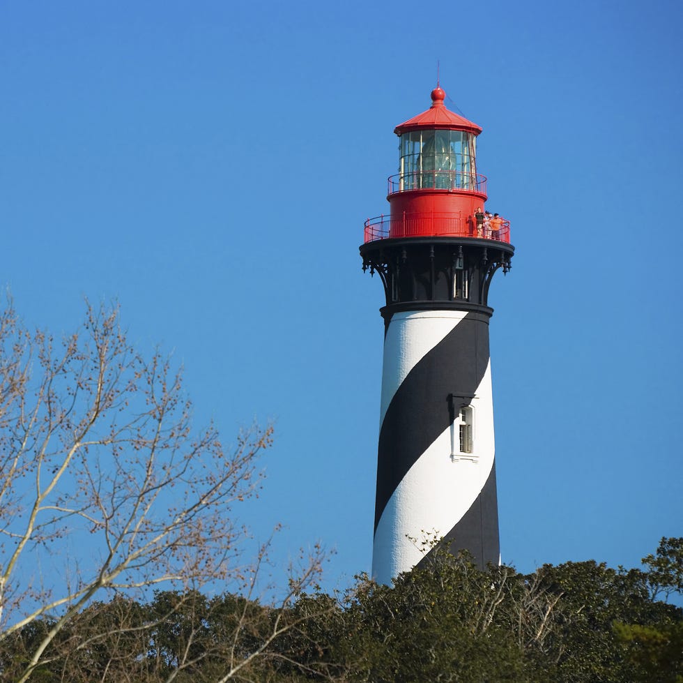 vegetation, branch, tower, beacon, twig, plant community, leaf, landmark, woody plant, lighthouse,