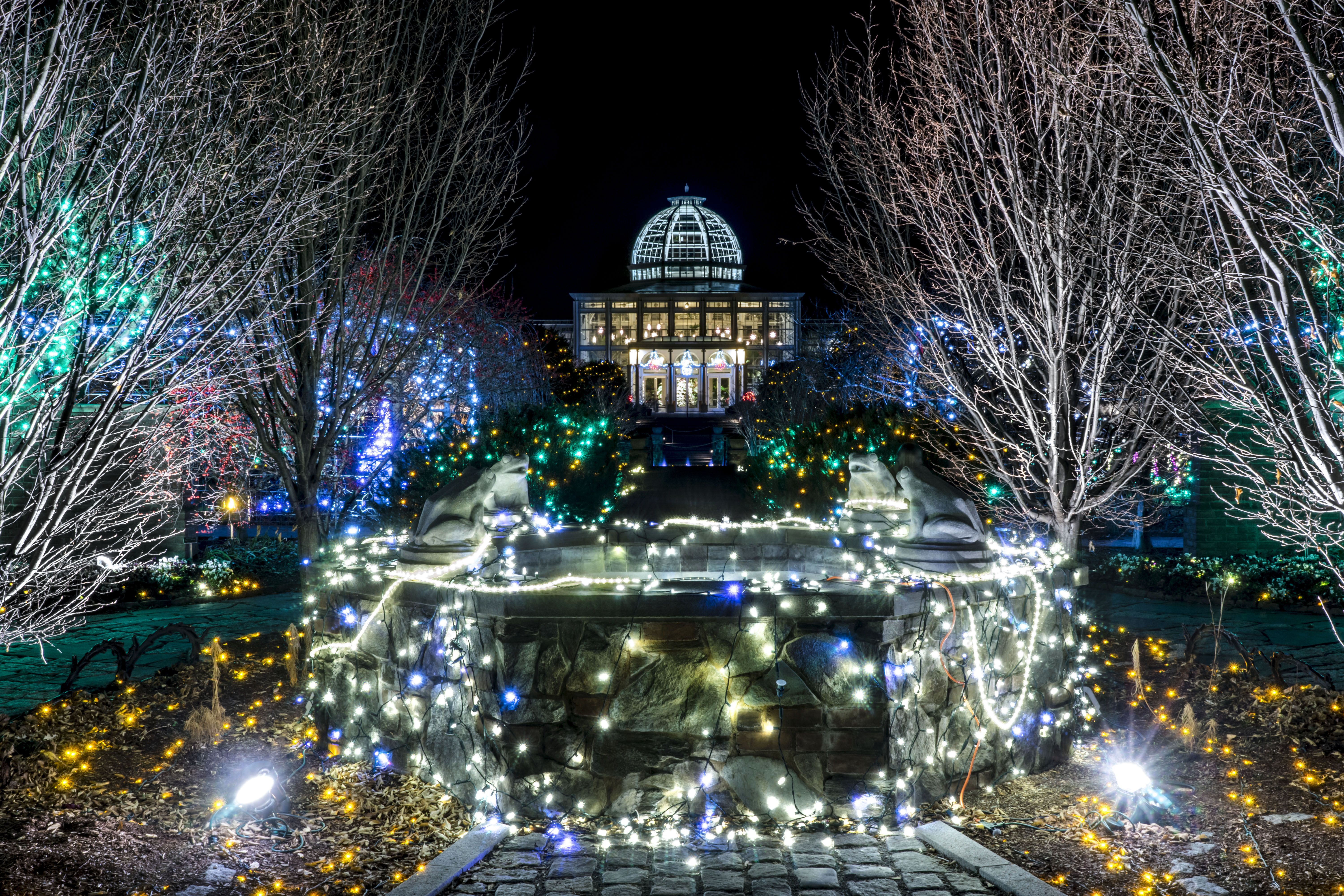 9 Botanical Gardens That Are More Beautiful At Night Botanical