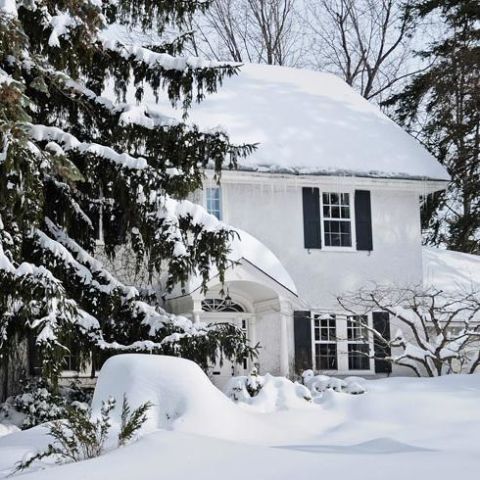 snowy home