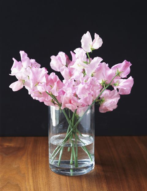 Flower, Cut flowers, Vase, Pink, Plant, Petal, Flowering plant, Lilac, Artificial flower, Sweet pea, 