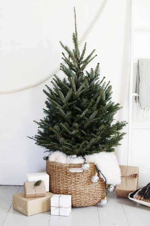 31 Small Christmas Tree Ideas - Mini Holiday Trees to Decorate
