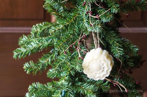 Christmas decoration, Woody plant, Holiday, Christmas tree, Christmas, Pine family, Christmas ornament, Conifer, Fir, Ornament, 